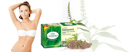 L'Angelica zeliščni čaj za odvajanje vode, 22 vrečk