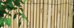 NOHEL GARDEN obloga iz bambusa, 1,5x5m