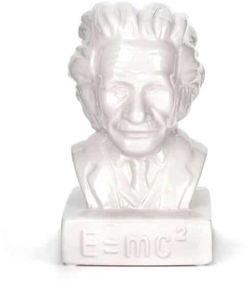 Kikkerland Hranilnik Einstein