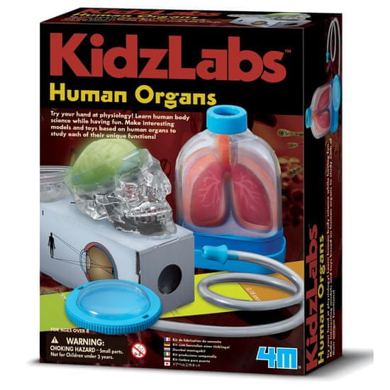 4M set Spoznavanje človeških organov