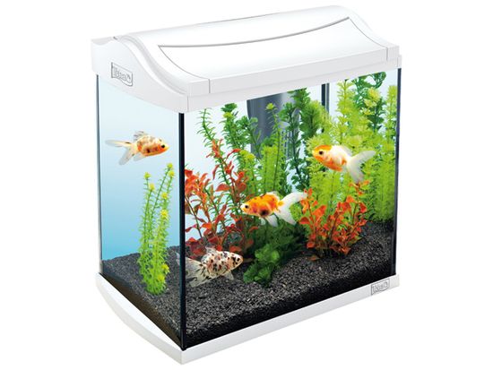 Tetra akvarijski set AquaArt, bel, 30 l
