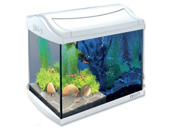 Tetra akvarijski set AquaArt LED, bel, 20 l