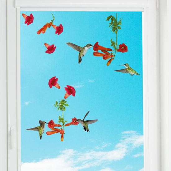 Crearreda okenska dekoracija Kolibri, S
