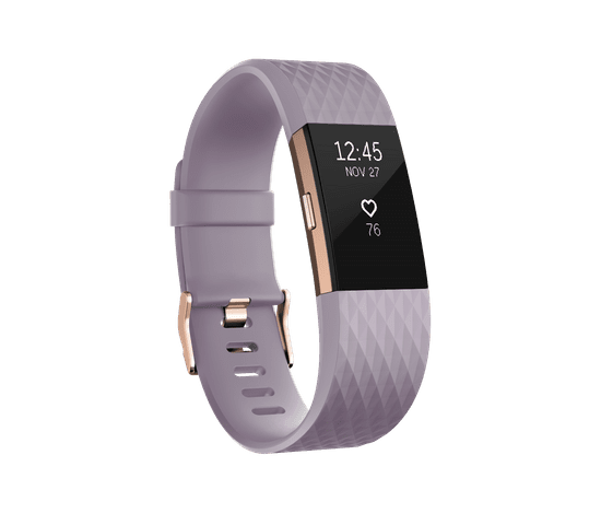 Fitbit aktivna zapestnica Charge 2, Lavender Rose Gold, Large