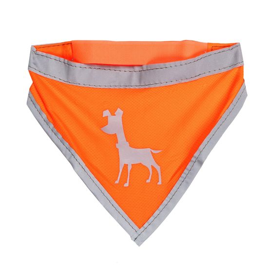 Alcott rutka za psa, neon oranžna
