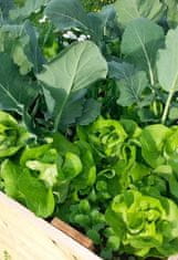 HomeOgarden organsko gnojilo Organski vrt, 4 kg