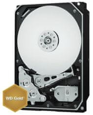 Western Digital trdi disk Gold 1TB SATA3 6Gb/s (WD1005FBYZ)