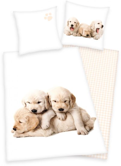 Herding posteljnina Puppies
