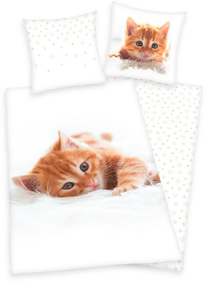 Herding posteljnina Kittens