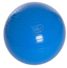 Spartan žoga za vadbo, 55 cm, modra