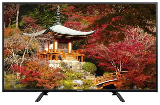 Panasonic TV sprejemnik TX-49ES403E