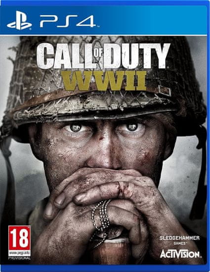 Activision Call of Duty: WWII (PS4)