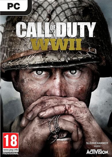Activision Call of Duty: WWII (PC)