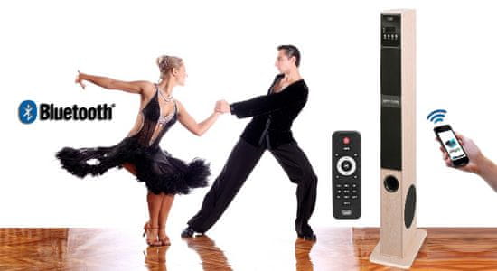 Trevi XT 108 BT bluetooth samostoje i HiFi zvo nik Odprta