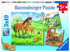 Ravensburger sestavljanka Čas za nežnost, 3 x 49 delov