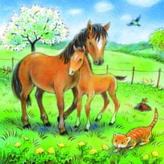 Ravensburger sestavljanka Čas za nežnost, 3 x 49 delov