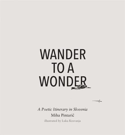 Miha Pintarič: Wander to Wander, angleščina