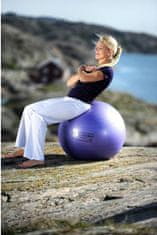 Sissel žoga Securemax Exercise Ball, 65 cm vijolična