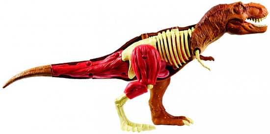 Mattel Jurassic World - Komplet igre anatomija