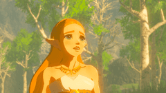 Nintendo igra The Legend of Zelda: Breath of the Wild (Switch)