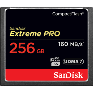 Pomnilniška kartica CompactFlash Extreme PRO, 256 GB