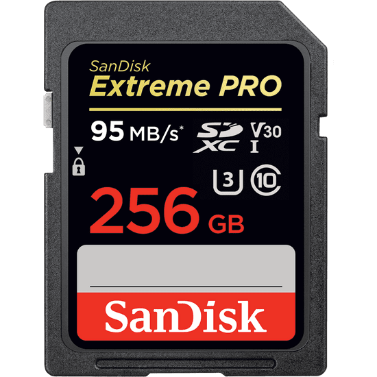 SanDisk pomnilniška kartica SDXC Extreme PRO, 256 GB, UHS-I (SDSDXXG-256G-GN4IN)
