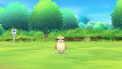 igra Pokémon: Let’s Go, Eevee! (Switch)