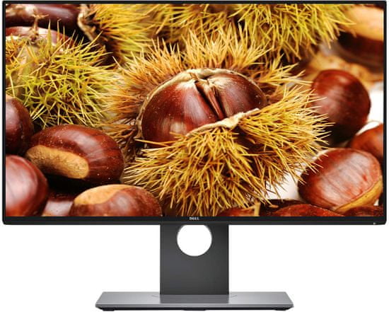 DELL IPS monitor UltraSharp U2417H