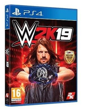 Take 2 igra WWE 2K19 - Standard Edition (PS4)