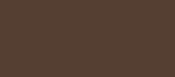 Maybelline Glavna natančnost (Liquid Eyeliner) 1 ml (Odtenek Forest Brown)