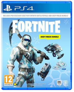 Warner Bros igra Fornite: Deep Freeze Bundle (PS4)