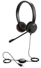 Jabra Evolve 20, Duo, USB, MS, leather