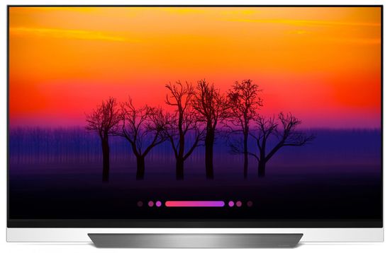 LG TV sprejemnik OLED55E8PLA