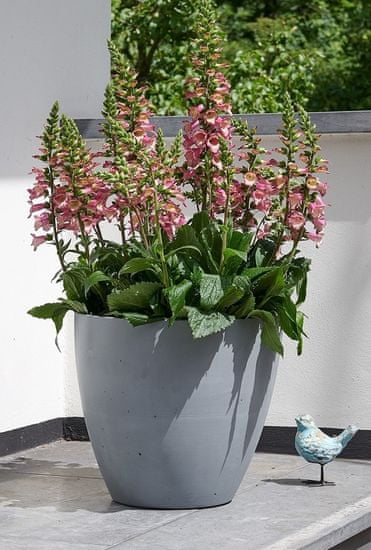 STEWART cvetlično korito, BETON PLANTER, 53 cm