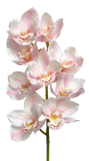 Kaemingk orhideja, real touch, poliester- svetlo roza
