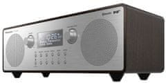 Panasonic DAB+ radio, srebrn (RFD100BTGNT)