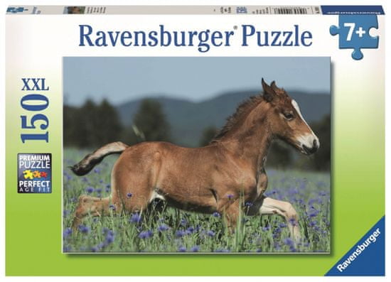 Ravensburger sestavljanka konj Colt, 150 delov