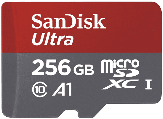SanDisk spominska kartica microSDXC, 256 GB