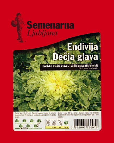 Semenarna Ljubljana endivija, dečja glava, 50 g