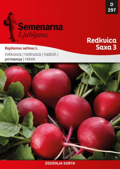 Semenarna Ljubljana redkvica Saxa 3, 297, mala vrečka