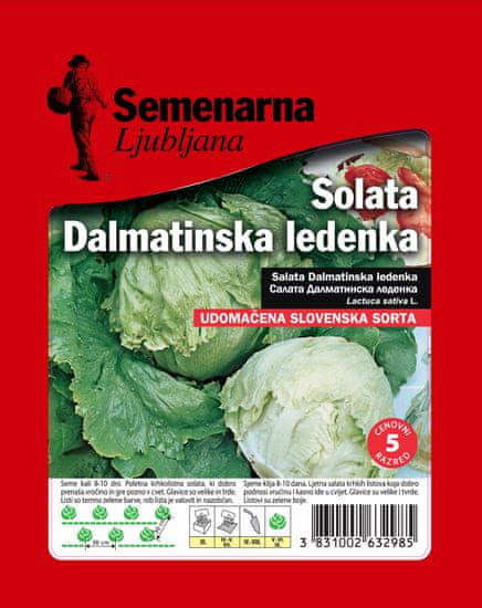 Semenarna Ljubljana solata dalmatinska ledenka, 25 g