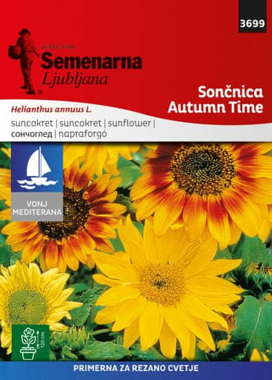 Semenarna Ljubljana sončnica Autumn Time, 3699 Mediteran, mala vrečka