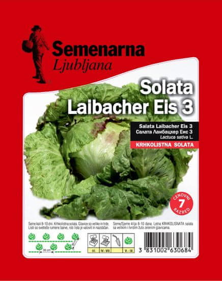 Semenarna Ljubljana solata laibacher Eis 3, 50g