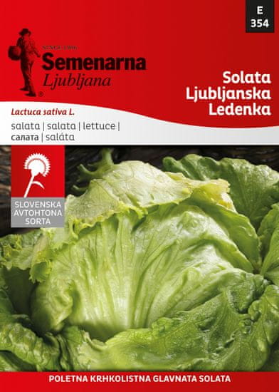 Semenarna Ljubljana solata Ljubljanska ledenka, 354, mala vrečka