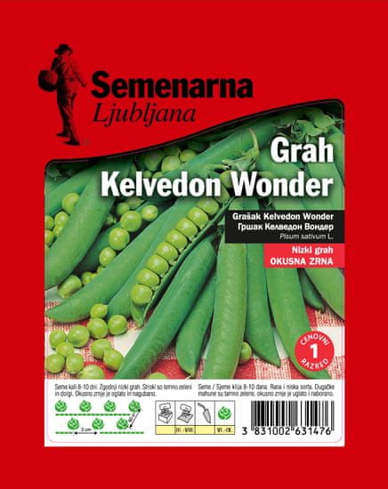 Semenarna Ljubljana grah Kelvedon Wonder, 100 g