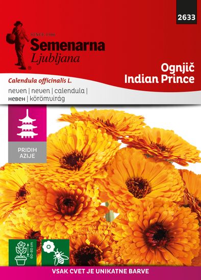 Semenarna Ljubljana vrtni ognjič M.V.Azija 2633 Callendula off.Indian Prince
