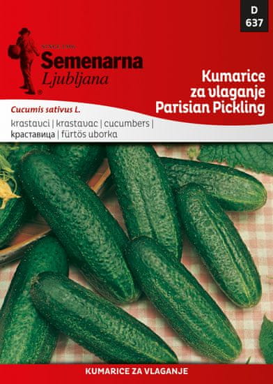 Semenarna Ljubljana kumarice za vlaganje Parisian Pickling, 637, mala vrečka