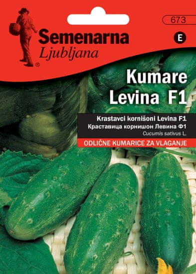Semenarna Ljubljana kumarice za vlaganje Levina F1, 673, mala vrečka