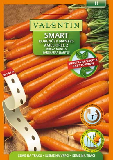Valentin Smart seme na traku, korenček Nantaise Amelioree 2