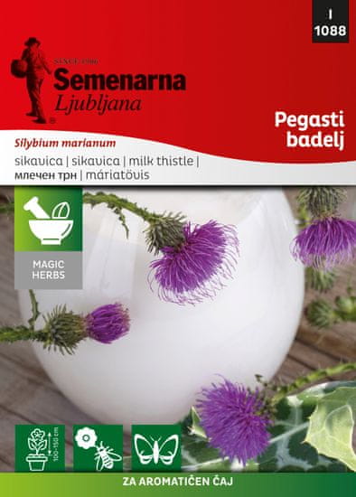 Semenarna Ljubljana pegasti badelj M.V. Herbs 1088